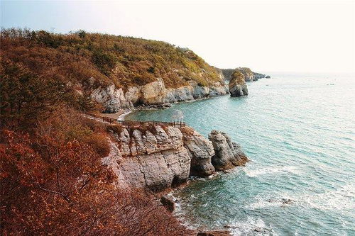 跨越山海识秘鲁